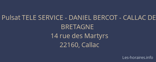 Pulsat TELE SERVICE - DANIEL BERCOT - CALLAC DE BRETAGNE