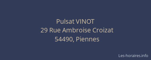Pulsat VINOT