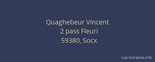 Quaghebeur Vincent