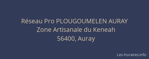 R&eacute;seau Pro PLOUGOUMELEN AURAY