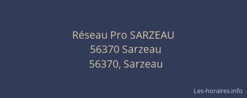 R&eacute;seau Pro SARZEAU