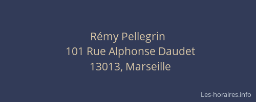 Rémy Pellegrin