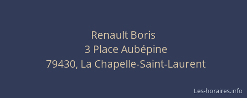 Renault Boris