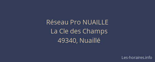 Réseau Pro NUAILLE