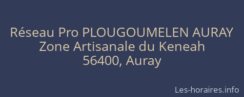 Réseau Pro PLOUGOUMELEN AURAY