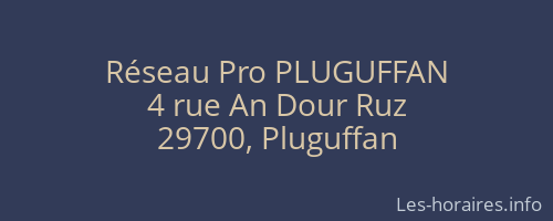 Réseau Pro PLUGUFFAN