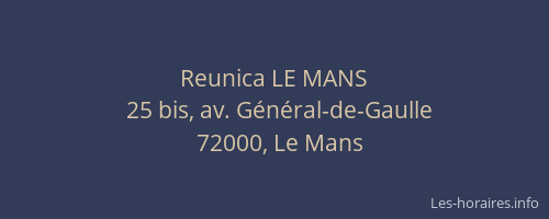 Reunica LE MANS