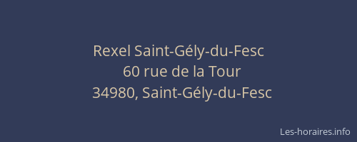 Rexel Saint-Gély-du-Fesc