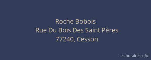 Roche Bobois