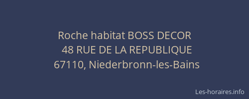 Roche habitat BOSS DECOR