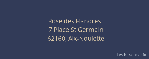 Rose des Flandres