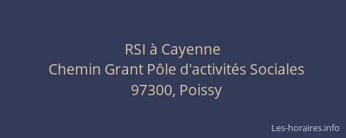 RSI &agrave; Cayenne