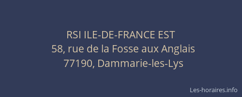 RSI ILE-DE-FRANCE EST