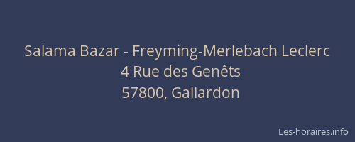 Salama Bazar - Freyming-Merlebach Leclerc