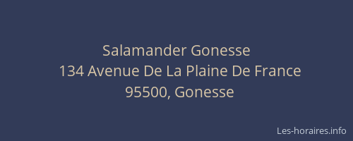 Salamander Gonesse