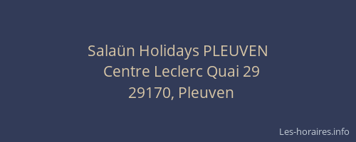Sala&uuml;n Holidays PLEUVEN