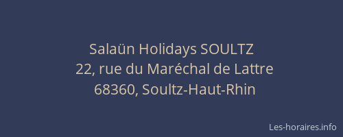 Sala&uuml;n Holidays SOULTZ