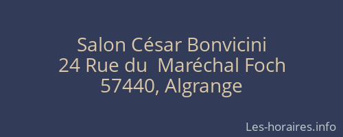 Salon César Bonvicini