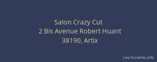 Salon Crazy Cut