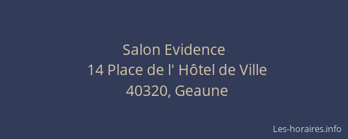 Salon Evidence