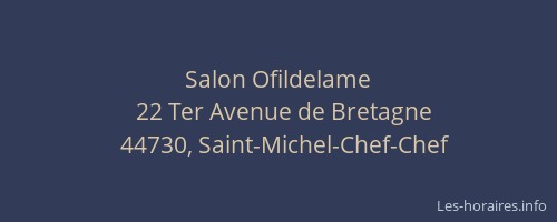 Salon Ofildelame