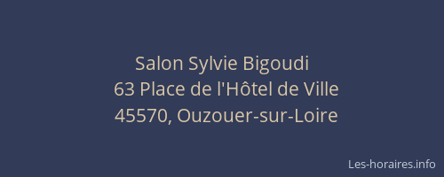 Salon Sylvie Bigoudi