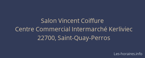 Salon Vincent Coiffure