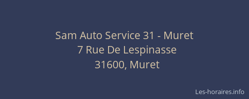 Sam Auto Service 31 - Muret
