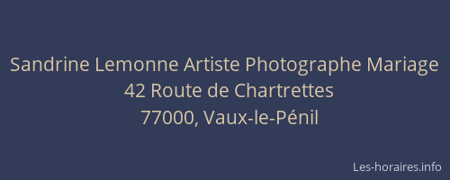 Sandrine Lemonne Artiste Photographe Mariage