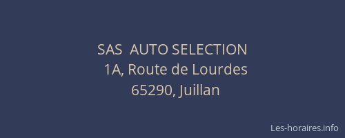 SAS  AUTO SELECTION