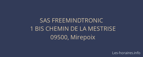 SAS FREEMINDTRONIC