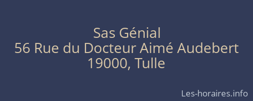 Sas G&eacute;nial