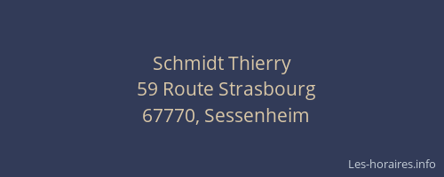 Schmidt Thierry
