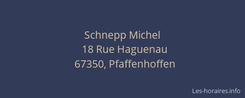 Schnepp Michel