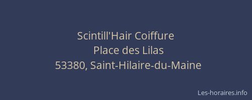 Scintill'Hair Coiffure