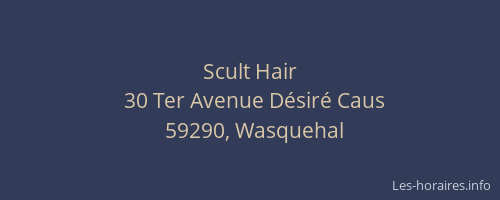 Scult Hair