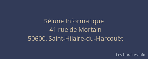 S&eacute;lune Informatique