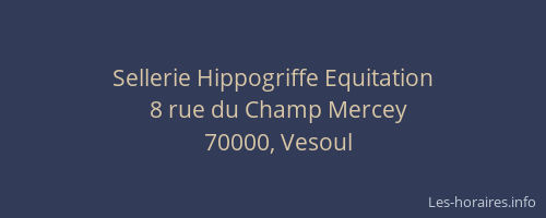 Sellerie Hippogriffe Equitation