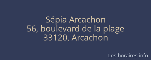 Sépia Arcachon