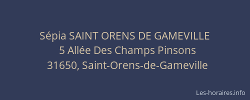 Sépia SAINT ORENS DE GAMEVILLE