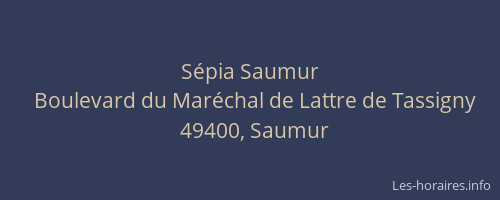 Sépia Saumur