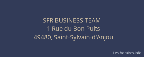 SFR BUSINESS TEAM