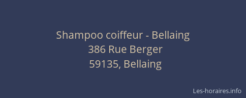 Shampoo coiffeur - Bellaing