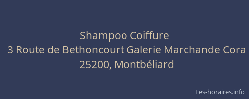 Shampoo Coiffure