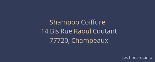 Shampoo Coiffure