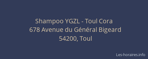 Shampoo YGZL - Toul Cora