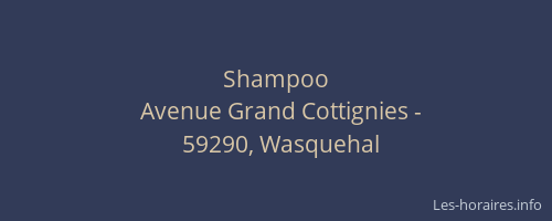Shampoo