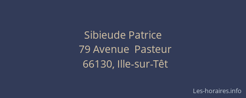 Sibieude Patrice