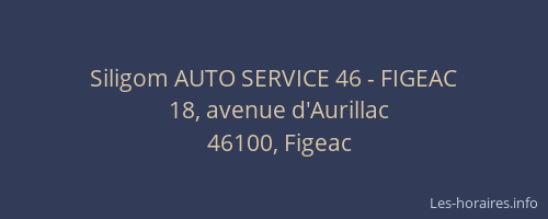 Siligom AUTO SERVICE 46 - FIGEAC