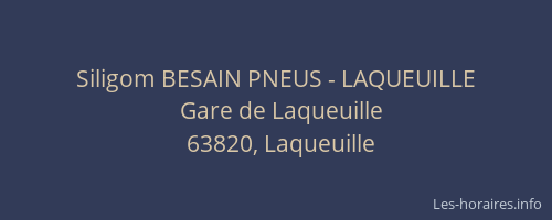 Siligom BESAIN PNEUS - LAQUEUILLE